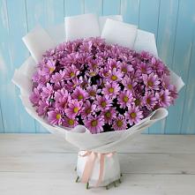 Букет цветов из:  Хризантемы в Жилино-2