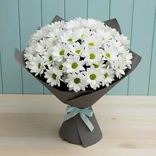 Букет цветов из:  Хризантемы #REPLACE_PRED# Жилино-2