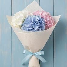 Букет цветов из:  Гортензия в Жилино-2