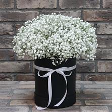 Цветочная композиция из Гипсофила в шляпной коробке в Жилино-2