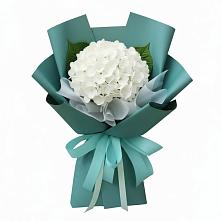 Букет цветов из:  Гортензия в Жилино-2